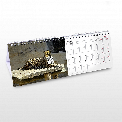 Personalised Zoo Desk Calendar