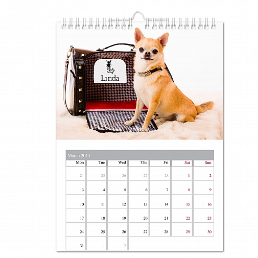 Personalised Your Barking Mad A4 Wall Calendar