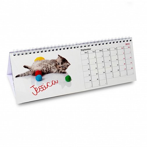 Personalised Your Cat-tastic Desk Calendar