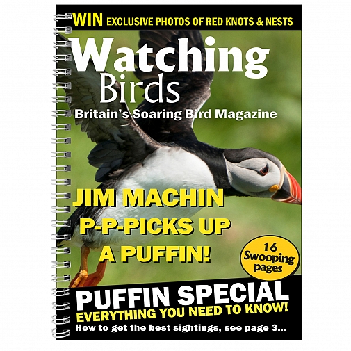 Personalised Watching Birds A5 Diary