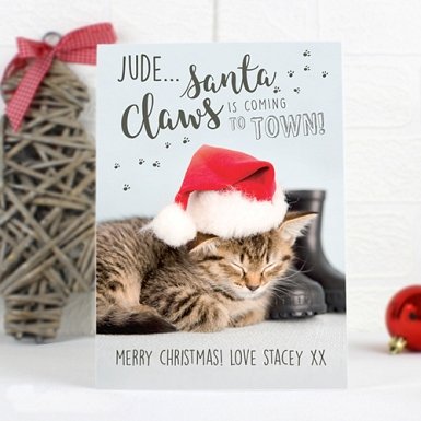 Personalised Rachael Hale Santa Claws Christmas Cat Card delivery to UK [United Kingdom]